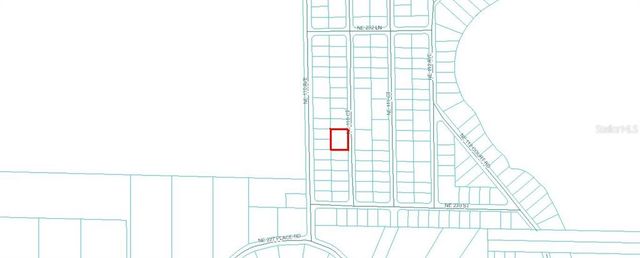 TBD NE 110 COURT, Fort Mc Coy, FL 32134