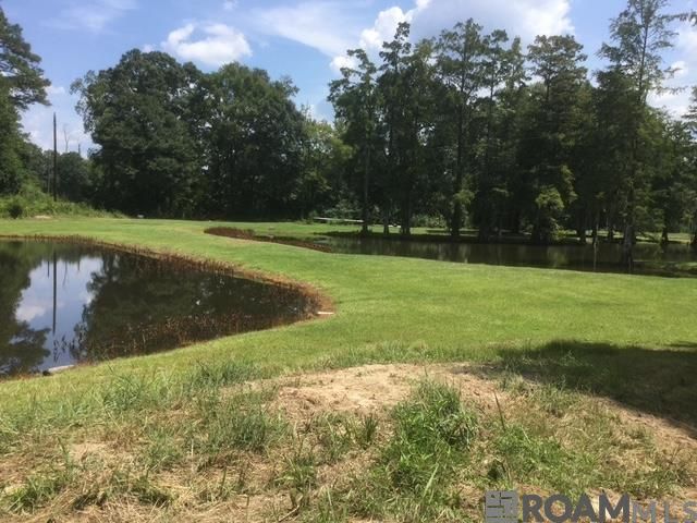 22835 La Hwy 16, Denham Springs, LA 70726