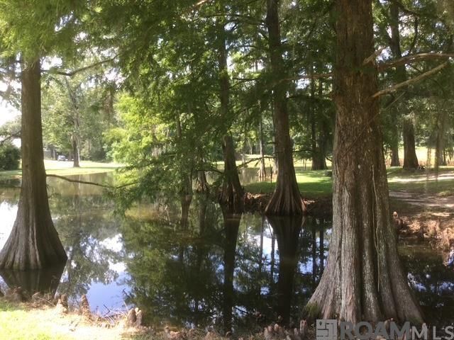 22835 La Hwy 16, Denham Springs, LA 70726