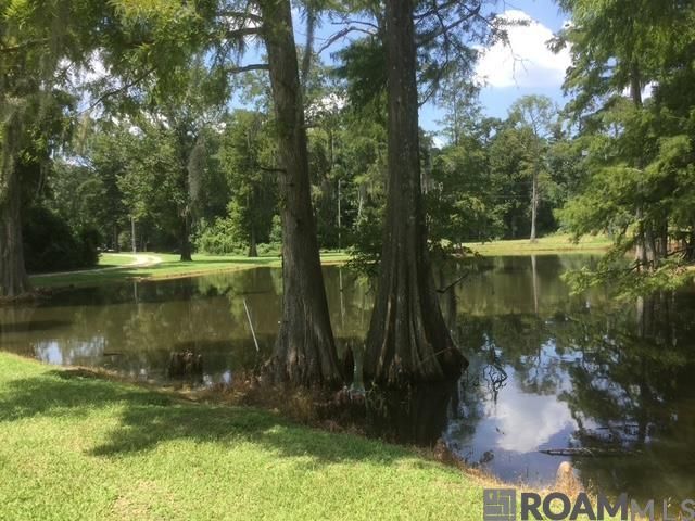 22835 La Hwy 16, Denham Springs, LA 70726