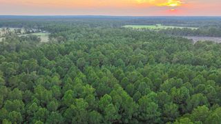 TBD Carmona Road, Corrigan, TX 75939