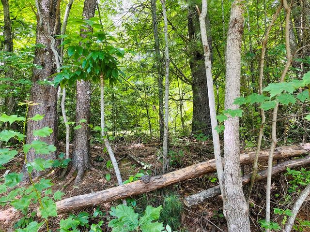 586 Pounding Mill Road, Hayesville, NC 28904
