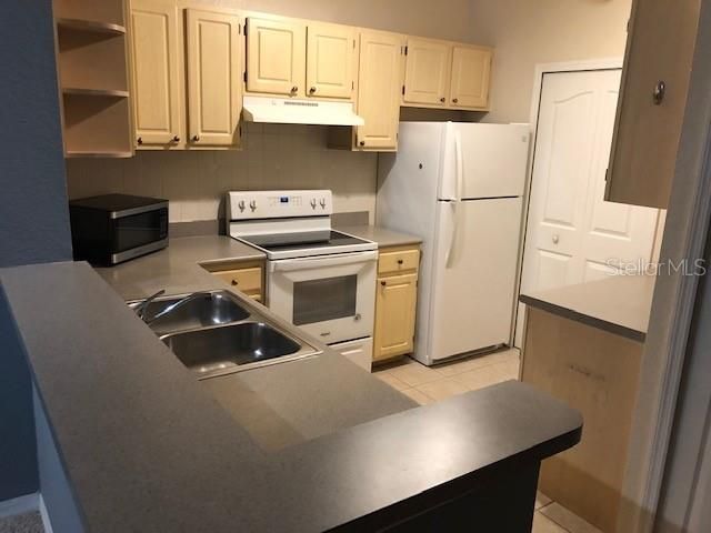 1175 LAKE SHADOW CIRCLE 4207, Maitland, FL 32751