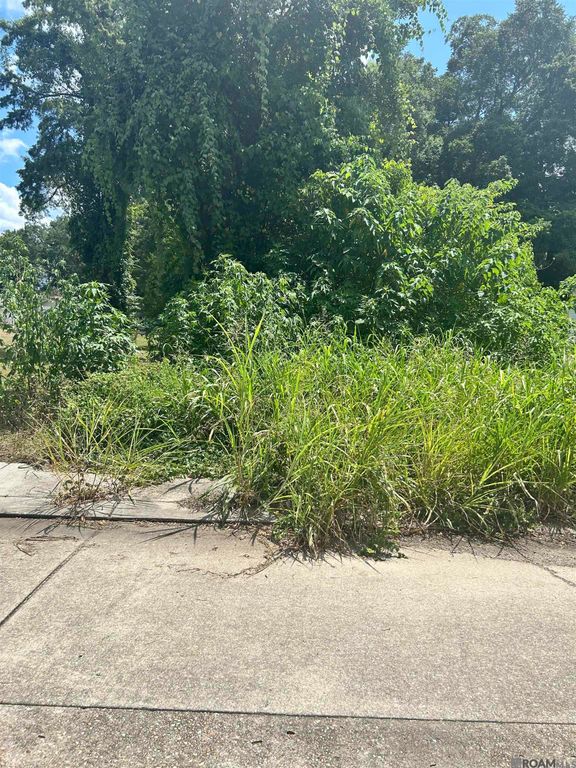 2251 Virginia St, Baton Rouge, LA 70802
