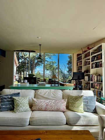 238 California Ave, Mill Valley, CA 94941