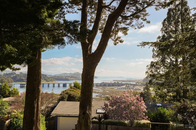 238 California Ave, Mill Valley, CA 94941