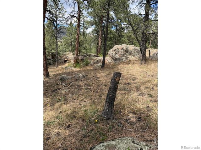 8 Estes Park Estates Drive, Lyons, CO 80540