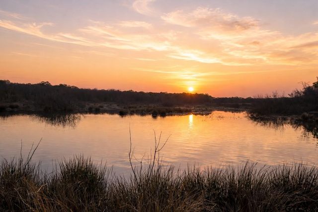 1751 Vz County Road 1925, Edgewood, TX 75117
