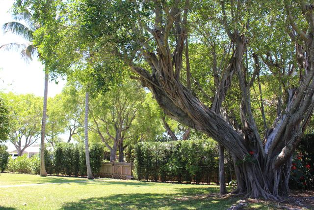 225 Gulfstream Boulevard, Boynton Beach, FL 33435