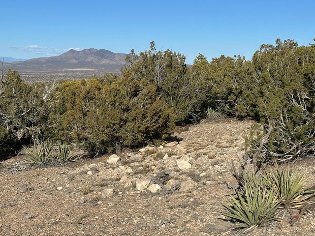 26 LA CANTERA, Sandia Park, NM 87047