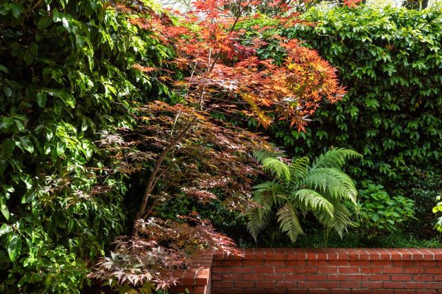 1880 Fulton Street, Palo Alto, CA 94303