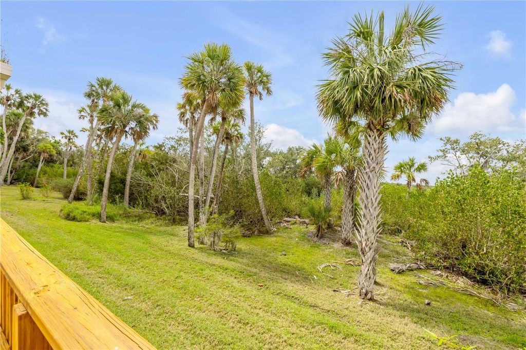 Image 51 of property listing at 1804 SAXON DRIVE, New Smyrna Beach, FL 32169