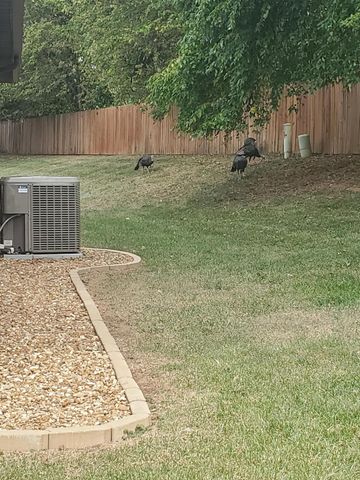 1750 W Bennett Street 4b, Springfield, MO 65807