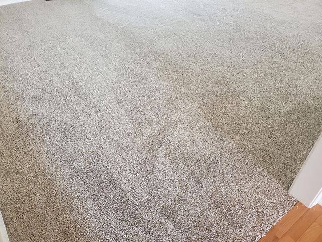 1750 W Bennett Street 4b, Springfield, MO 65807