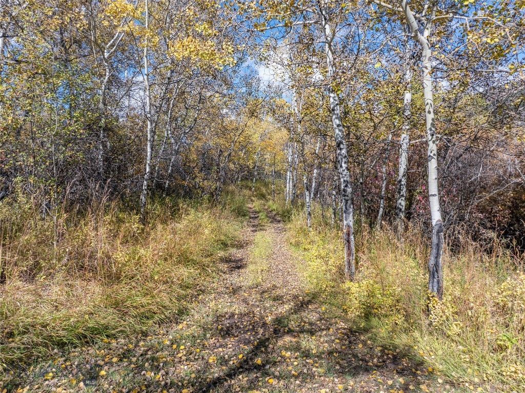 4800 Meadow Lane, Bozeman, MT 59715 photo 96