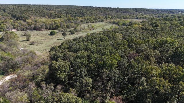 0000 Grape Vine, Marshfield, MO 65706