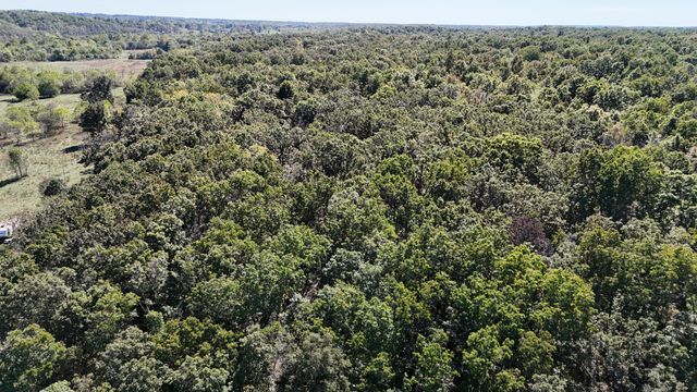 0000 Grape Vine, Marshfield, MO 65706