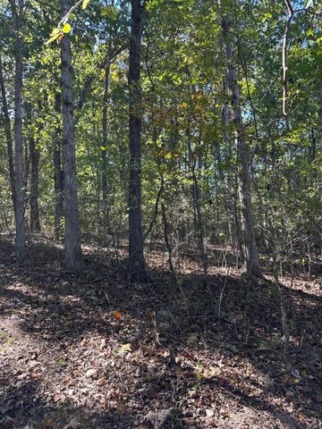 0000 Grape Vine, Marshfield, MO 65706