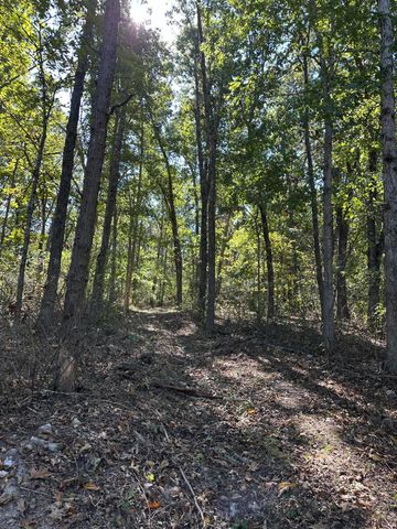 0000 Grape Vine, Marshfield, MO 65706