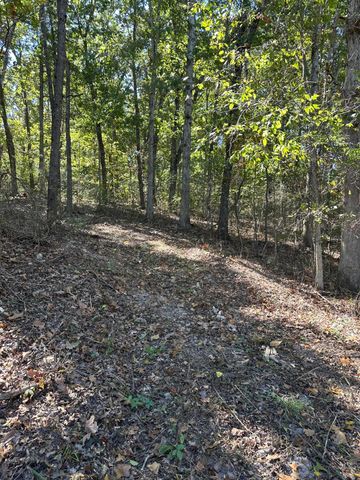 0000 Grape Vine, Marshfield, MO 65706