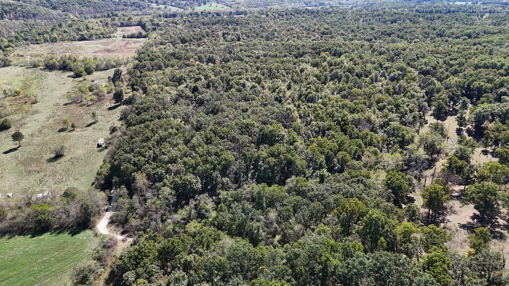 0000 Grape Vine, Marshfield, MO 65706