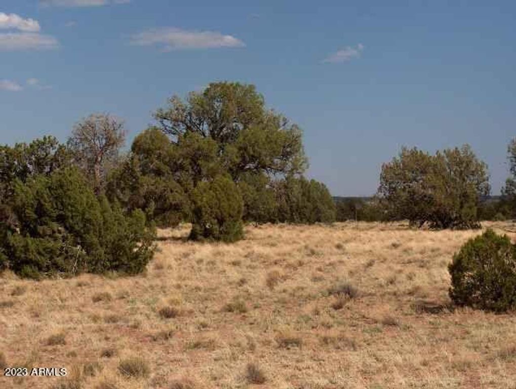 6103 River Run Drive 396, Heber, AZ 85928