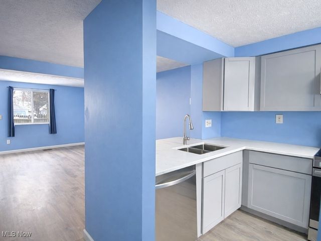 685 W Jackson Street, Painesville, OH 44077