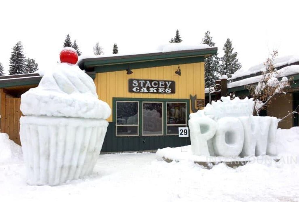 1389 Hearthstone Court 17-E, McCall, ID 83638 photo 21