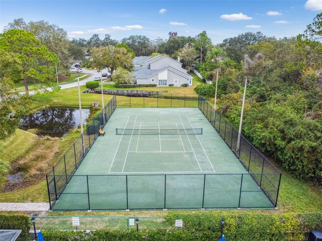 115 STEEPLECHASE LANE, Palm Harbor, FL 34684