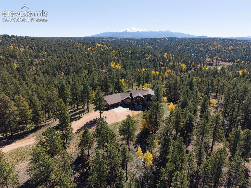 4267 County Road 51 Road, Divide, CO 80814 — photo 4
