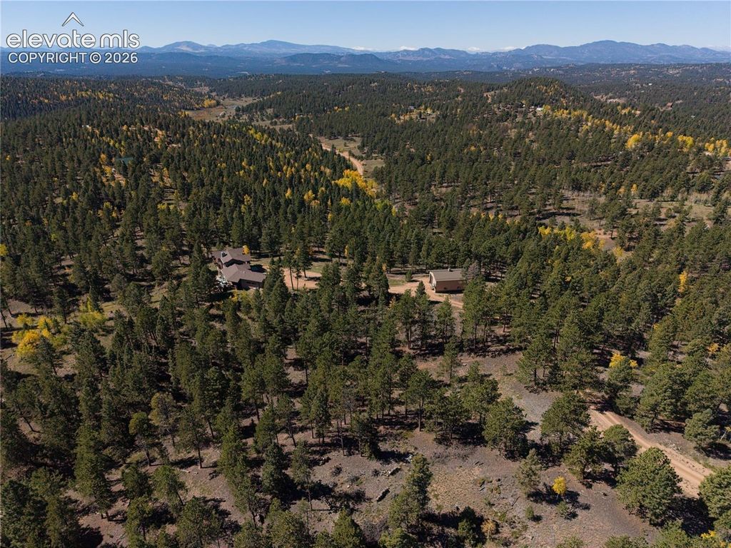 4267 County Road 51 Road, Divide, CO 80814 — photo 5