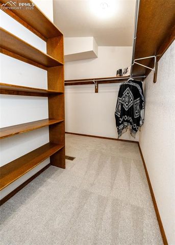 3913 Whisper Hollow Drive, Colorado Springs, CO 80920