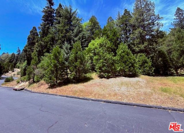 246 Cedar Ridge Drive, Lake Arrowhead, CA 92352