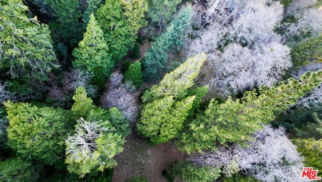 246 Cedar Ridge Drive, Lake Arrowhead, CA 92352