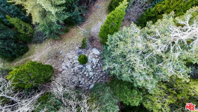 246 Cedar Ridge Drive, Lake Arrowhead, CA 92352