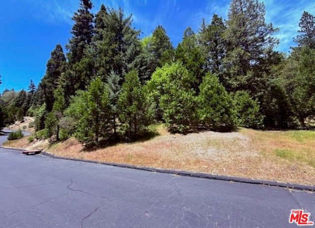 246 Cedar Ridge Drive, Lake Arrowhead, CA 92352
