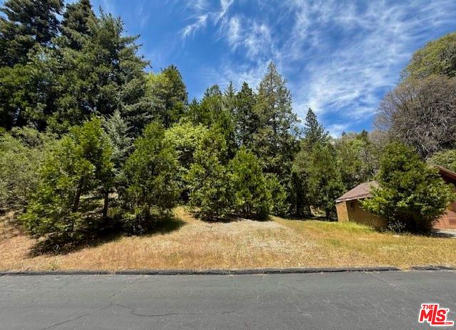 246 Cedar Ridge Drive, Lake Arrowhead, CA 92352