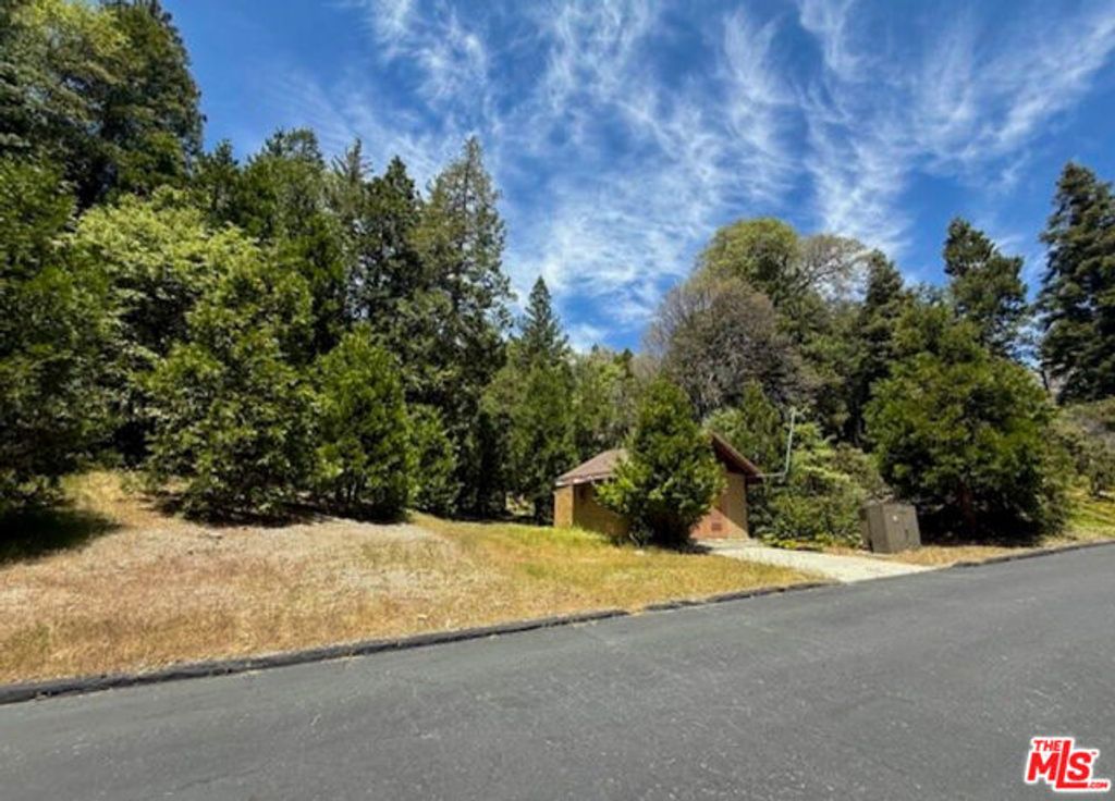 246 Cedar Ridge Drive, Lake Arrowhead, CA 92352
