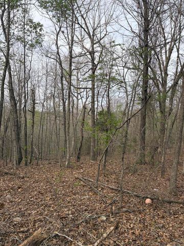 187 Valleywood Lane, Salem, AR 72576