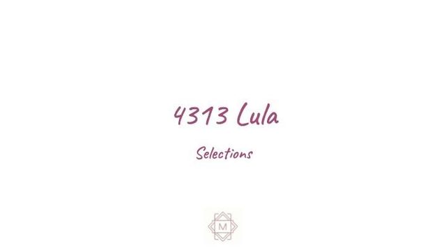 4313 Lula Street, Bellaire, TX 77401