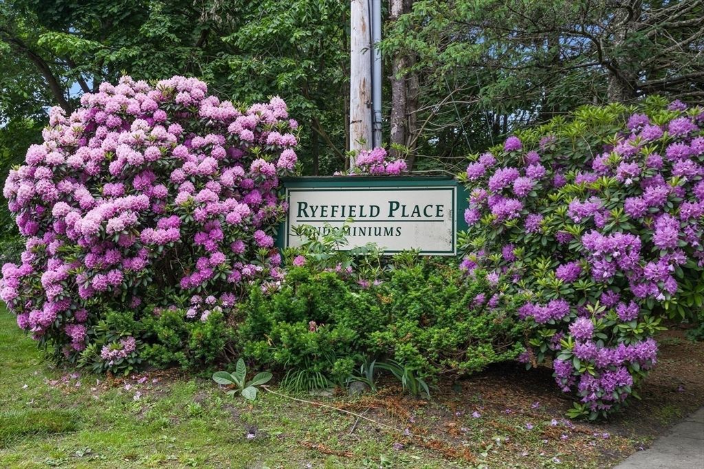 8 Longmeadow Dr 14A, Rowley, MA 01969
