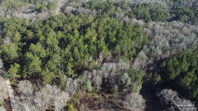 3030 Booneville Rd, Atmore, AL 36502