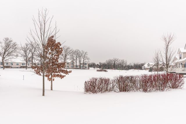 2667 Oxford Circle, Scio Twp, MI 48103