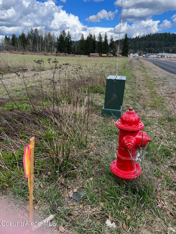 NKA Selkirk St, Bonners Ferry, ID 83805 photo 4