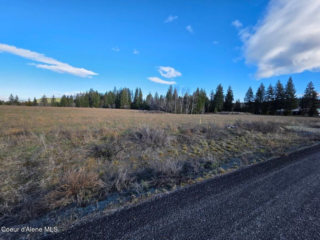 NKA Selkirk St, Bonners Ferry, ID 83805 photo 7