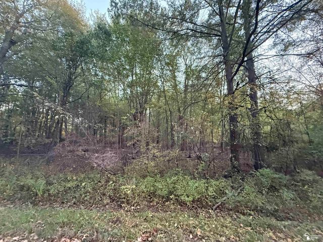 0 Eggert Road, Dundee, MI 48131