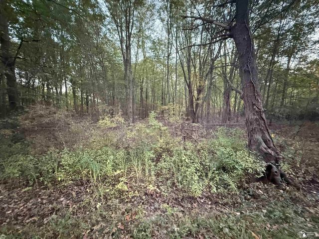 0 Eggert Road, Dundee, MI 48131