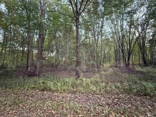 0 Eggert Road, Dundee, MI 48131