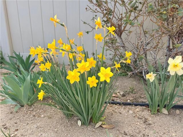 10906 Rockaway Glen, Apple Valley, CA 92308