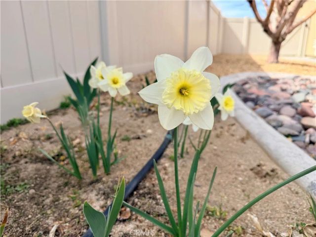 10906 Rockaway Glen, Apple Valley, CA 92308